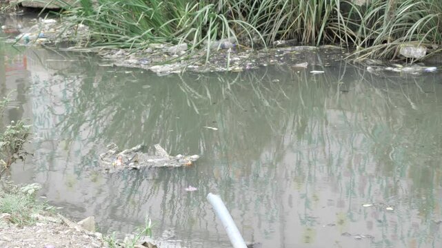 Contaminated Waters - Exposing the Horrors of Water Pollution