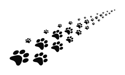 A minimalistic vector illustration of a series of black animal foot paw prints scattered,  puppy silhouette animal diagonal tracks for t-shirts, websites, showcase design, easily editable.