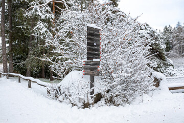 A sign is covered in snow and is leaning against a tree