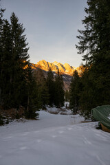 A mountain range is in the background of snowy forest