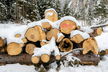 A pile of logs covered in snow with the word "sterely" written on them