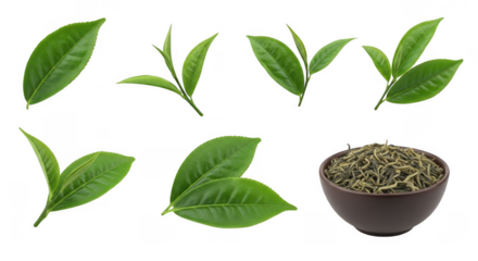 Variety of Tea Leaves and Bowl of Loose Leaf Tea for Beverage Enthusiasts, isolated on a transparent background