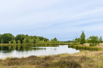 Landscape of nature reserve Hijkerveld with heathland, natural pond and path near Hijken en...