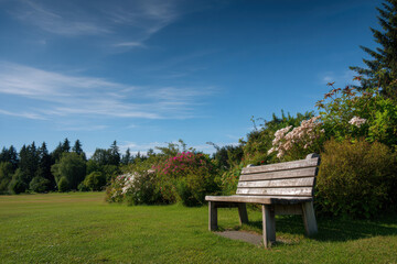 A serene park bench under a clear blue sky with a light haze. 