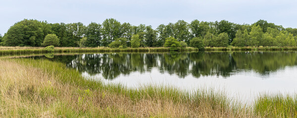 Landscape of nature reserve Hijkerveld with heathland, natural pond and path near Hijken en Laaghalen in municipality Midden-Drenthe in Drenthe The Netherlands