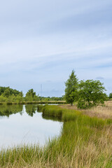 Landscape of nature reserve Hijkerveld with heathland, natural pond and path near Hijken en...