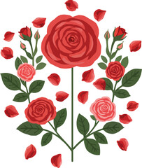 Red roses bouquet elegant floral design white background