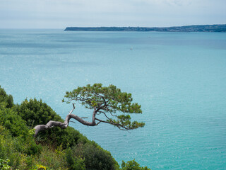 Seascape. The rocky sea coast at the southern end of Tor Bay near Brixham in the Torbay district of...
