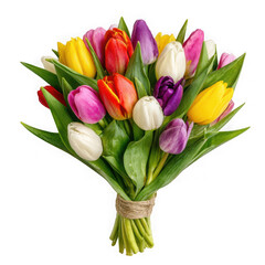 Fototapeta premium Vibrant bouquet of mixed color tulips tied with twine isolated on transparent background