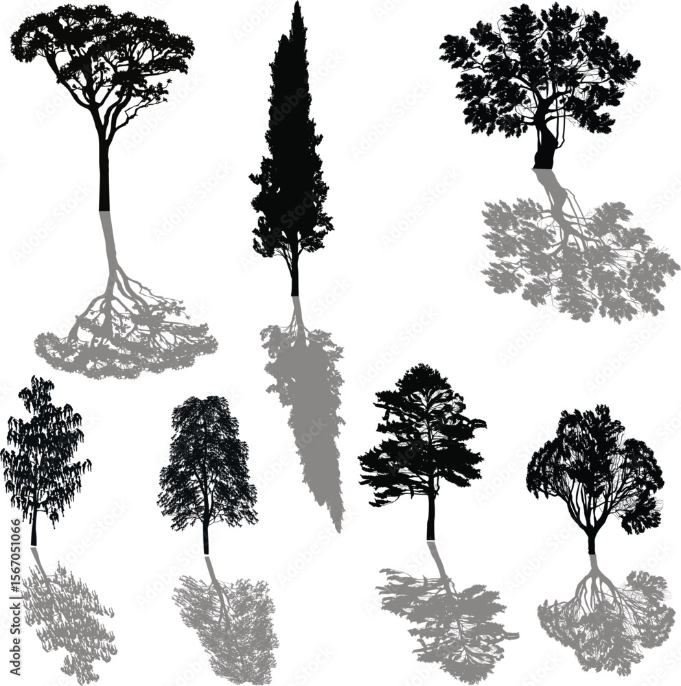 Wall mural seven trees with shadows isolated on white