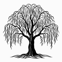Willow tree outline vector © Huzzatul