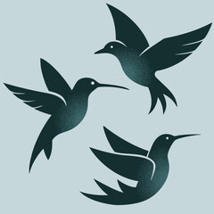 Birds collection vector illustration