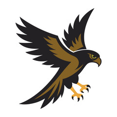 Bird Of Prey Landing With Talons