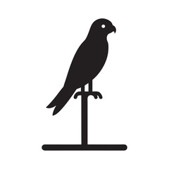 Bird Of Prey On Utility Pole