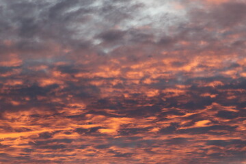 Le ciel de soirée 