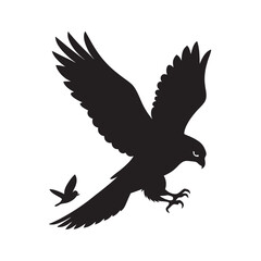 Obraz premium Mid Air Falcon Grabbing Prey Silhouette