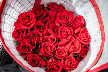 Red Roses from a factory in Ecuador, South America