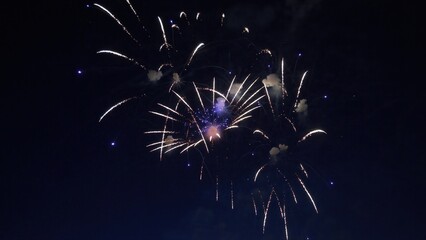 Fireworks exploding in the night sky during a celebration
