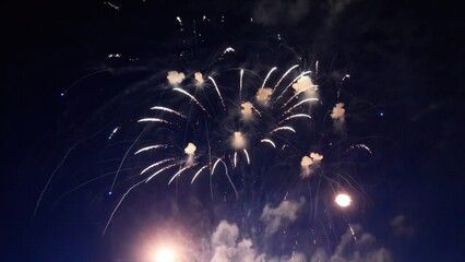 Fireworks exploding in the night sky during a celebration