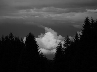 bright white convective cloud in between trees of a mountain ridge
