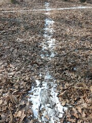stream of water