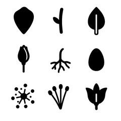 Botanical Icon Grid. Solid, filled icon set of flower parts and growth: petal, stem, leaf, bud, root, seed, pollen, stamen, calyx.