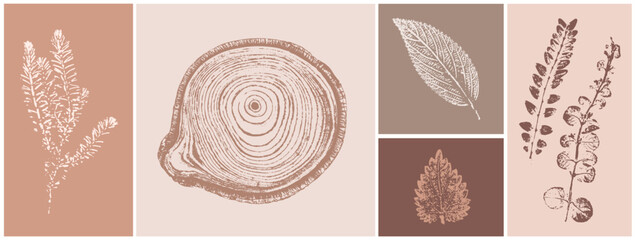 Pink tan and brown floral prints of botanical illustration and tree rings. Decorative set of flowers and leaves pressed or stamped.