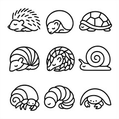 Protective Sleep Icons. Outline icon set of protective sleep positions: porcupine curl, hedgehog ball, turtle shell retreat,