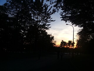 sunset in the park
