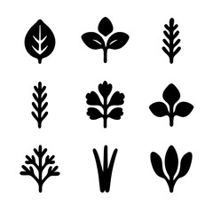 Obraz premium Herb Garden Icons. Solid, filled icon set of herb garden basics: basil leaf, mint sprig, thyme branch, rosemary stem, parsley
