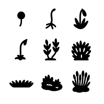 Moss Growth Icons. Solid, filled icon set of moss growth stages: spore, protonema, gametophyte, sporophyte, mature moss, moss