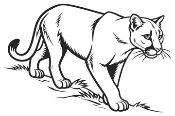 A powerful cougar strides forward with captivating blue eyes in a dynamic and striking black and white illustration