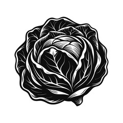 Black and white vector illustration of a whole cabbage vegetable green