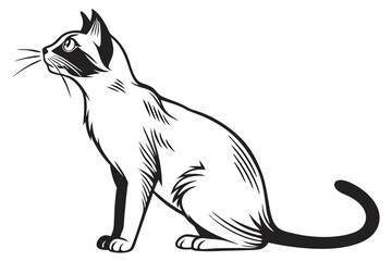 Elegant Siamese Cat Illustration Depicting Feline Grace and Charm in Black and White