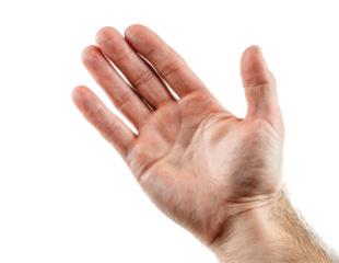 Hand gesture demonstration neutral view isolated on transparent background