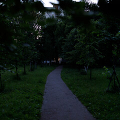 Narrow footpath leading through dense greenery towards residential buildings in Kupchino, Saint...