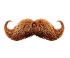 Whimsical mustache installation creative digital isolated on transparent background