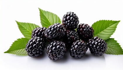 fresh blackberries with leaves isolated on white background