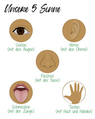 Unsere 5 Sinne - &Uuml;bersicht