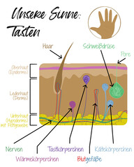 Unsere Sinne - Tasten - Haut