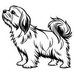 Detailed Black and White Line Art Depicting a Fluffy Long Haired Dog with an Elegant Curled Tail and Expressive Eyes