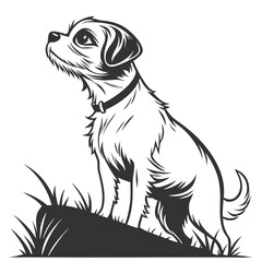A Charming Jack Russell Terrier Silhouette Sitting Alertly on a Small Mound of Earth and Patchy Grass