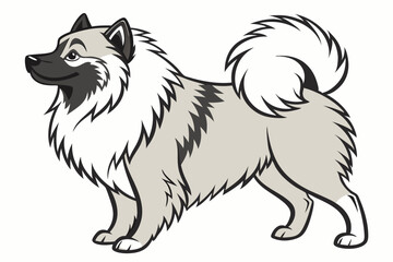 An Elegant Keeshond Dog Standing Sideways with a Curled Tail and Thick Fur a Symbol of Loyalty and a Popular Family Companion