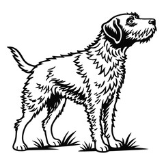 Monochrome Illustration of a Wirehaired Pointing Griffon Dog Standing Proudly in Black and White Outline Style