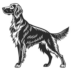 Majestic Irish Setter Silhouette Graceful Sporting Dog Breed with Flowing Coat Standing Elegantly on Display an Example of Breed Standards