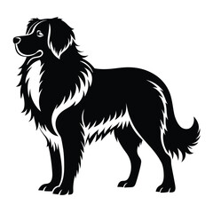 Majestic Newfoundland Dog Silhouette with Detailed Fur and Noble Stance, Ideal for Logos and Designs Showcasing Breed Characteristics