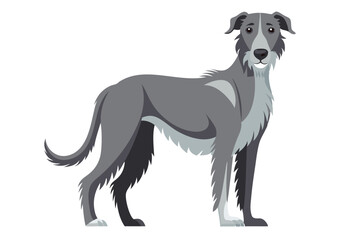 Elegant Irish Wolfhound Illustration A Gentle Giant with a Calm Demeanor Standing Tall in a Detailed Vector Graphic
