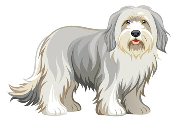 Charming Bearded Collie Illustration A Delightful Depiction of the Beloved Breed with Fluffy Fur and Gentle Eyes Perfect for Canine Enthusiasts
