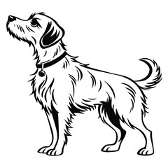 Stylized Black and White Illustration of a Terrier Dog with a Collar Looking Upwards with a Curious Expression