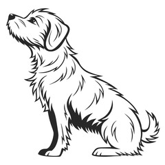 Monochrome Vector Illustration of a Terrier Dog Sitting and Looking Upward with Detailed Fur and Clean Outlines Perfect for Print